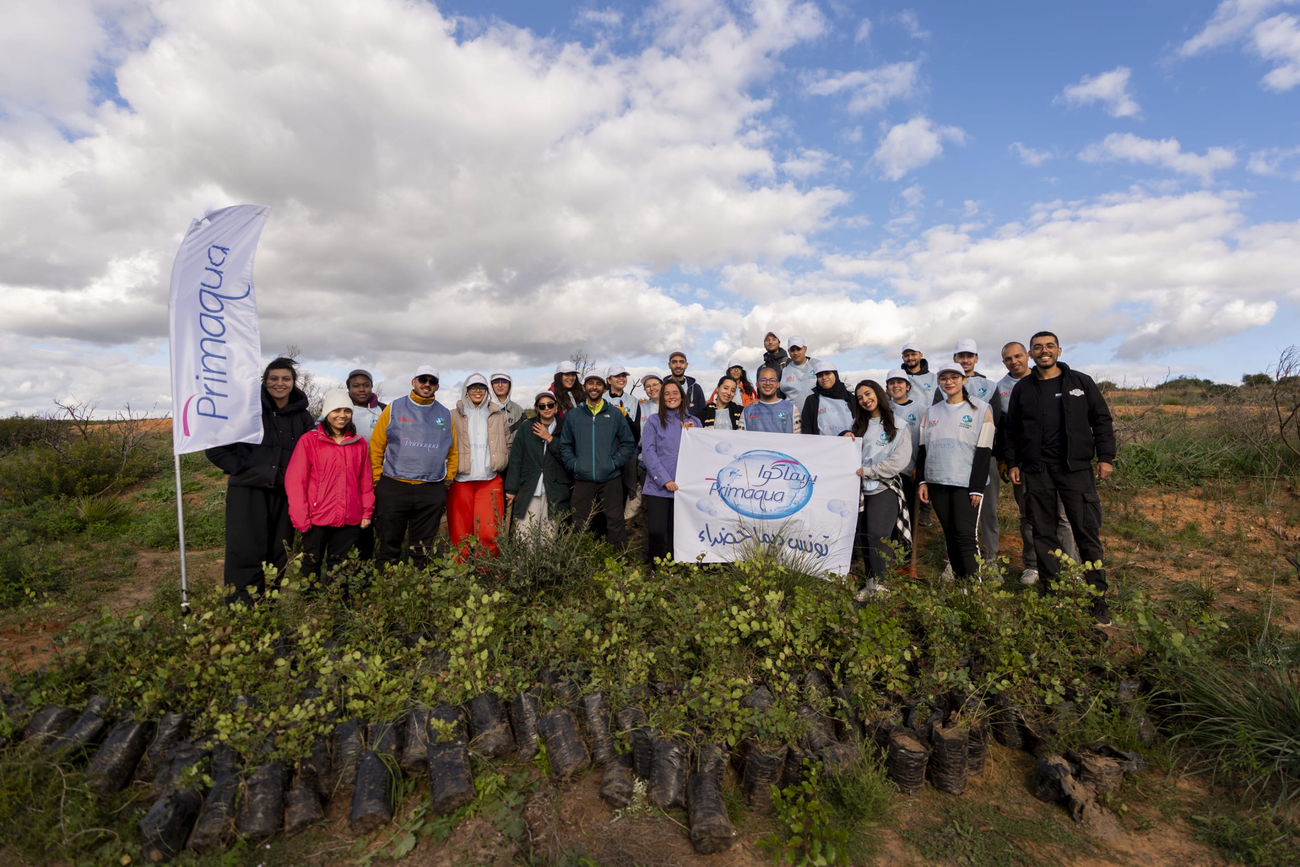 Plantation d'arbres en Tunisie